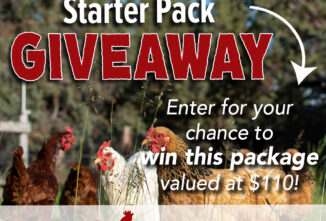 Backyard Chicken Starter Pack Giveaway